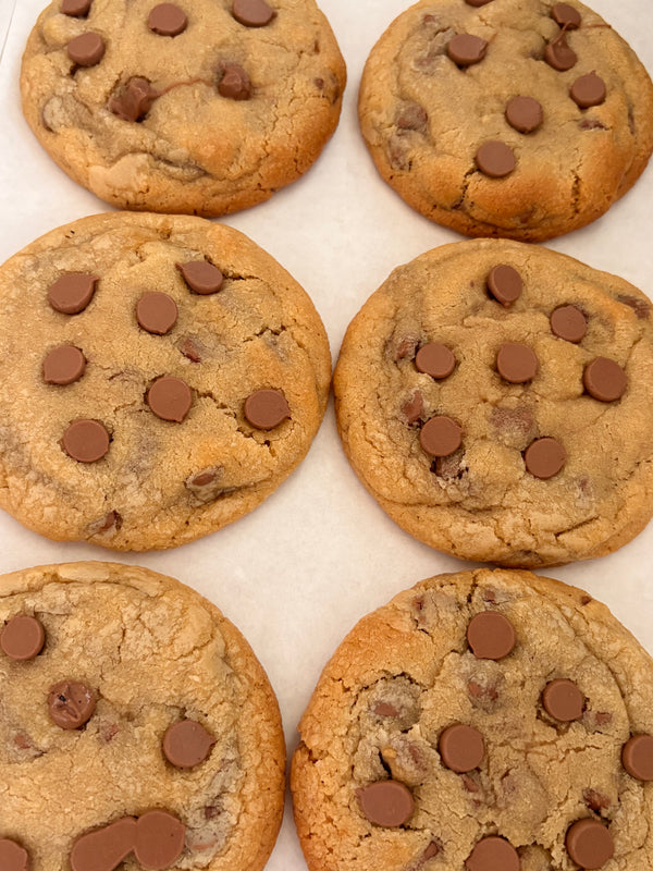 Chocolate Chip